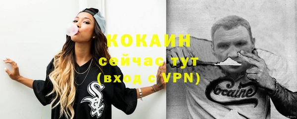 дмт Ладушкин