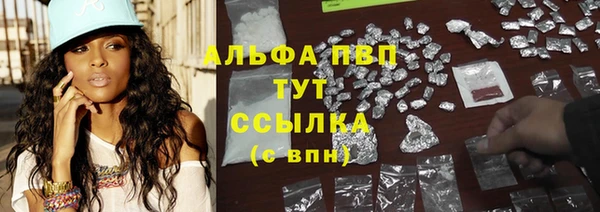 дмт Ладушкин